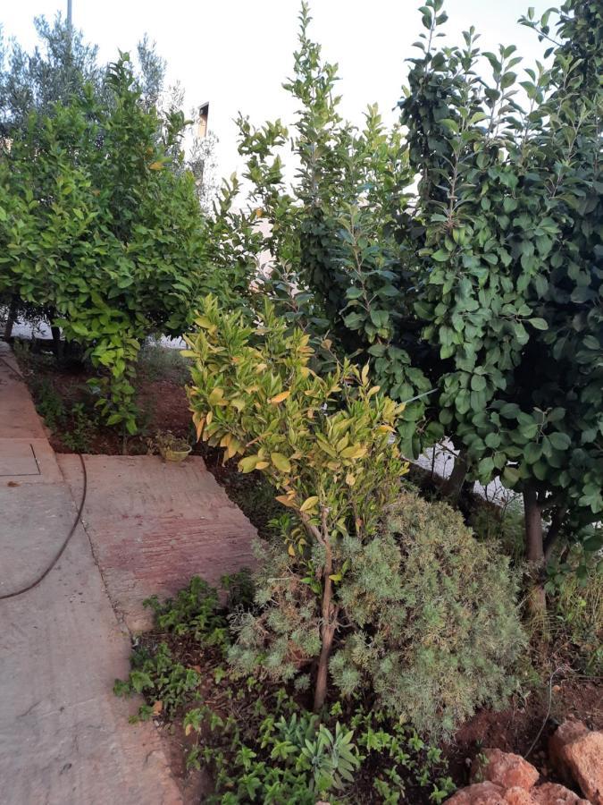 Dary Apartment Фес Екстериор снимка